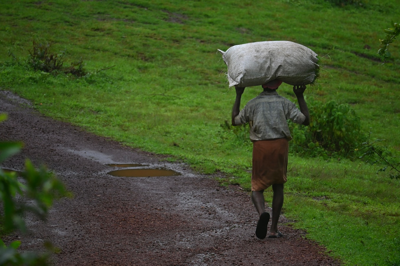 Building a safer, stronger future for all